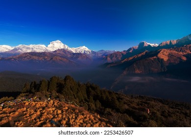 Nature view of Himalayan mountain range at Poon hill view point,Nepal. Poon hill is the famous view point in Gorepani village to see beautiful sunrise over Annapurna mountain range in Nepal