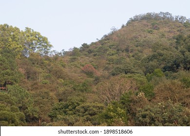 A Nature View At Pat Sin Leng Country Park