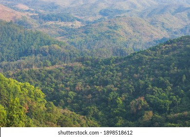 A Nature View At Pat Sin Leng Country Park