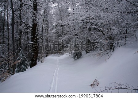 Similar – Image, Stock Photo Tracks in the snow Winter