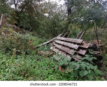 Nature Vilage Wood Green Grass