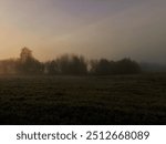 Nature waking up, fog over fields and treeline, early morning in northern Sweden