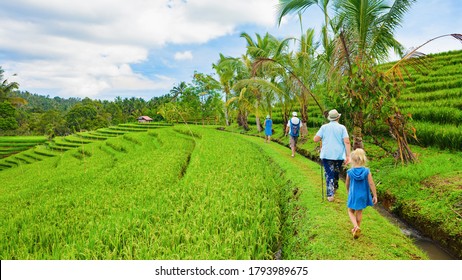 Nature Walk In Green Rice Terrace. Tourist Group Of Retirees, Kids Trekking By Path With Beautiful View Of Balinese Traditional Fields. Travel Adventure With Child, Family Vacation In Bali, Indonesia