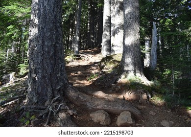 Nature In The Western United States