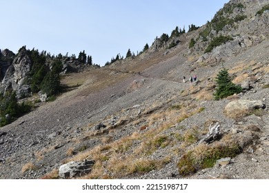 Nature In The Western United States