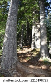 Nature In The Western United States