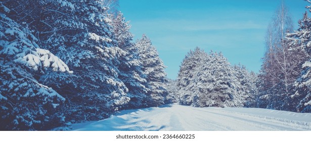 Nature winter background.  Snowy forest with country road covered with snow.  Pine trees covered with snow. Winter nature. Christmas background.  - Shutterstock ID 2364660225