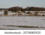 Nature in winter under snow during the day.
