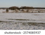 Nature in winter under snow during the day.
