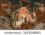 Natures beauty, red rock hoodoo formations and bristlecone pine trees in the Bryce Amphitheater in Bryce Canyon National Park, Utah
