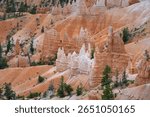 Natures beauty, red rock hoodoo formations in orange, pink, and white in the Bryce Amphitheater in Bryce Canyon National Park, Utah
