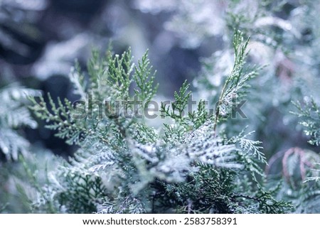 Similar – Image, Stock Photo melted snow Water