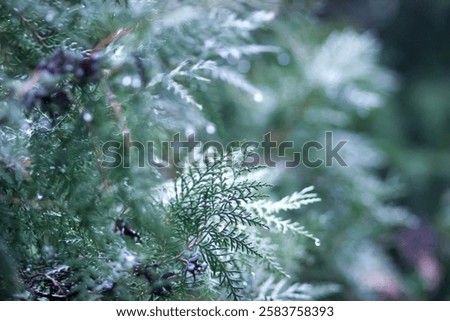 Similar – Image, Stock Photo melted snow Water