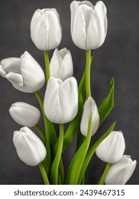 Nature's elegance captured in a single bloom 🌸✨ #WhiteFlower #GreenLeaves #Contrast