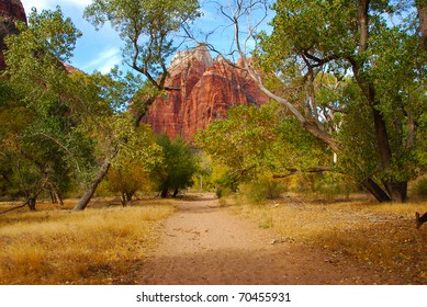 Nature's Entry