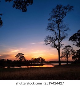 Nature's full silhouette emerges at dusk, with trees and hills outlined in a calm, even pattern, blending seamlessly into the serene evening sky. - Powered by Shutterstock