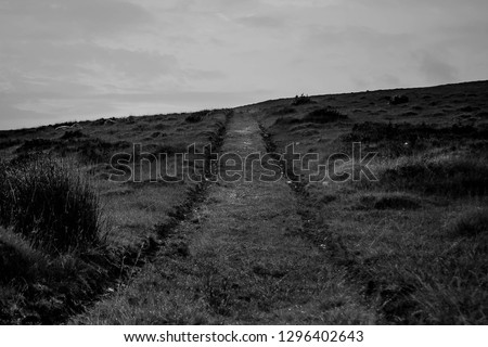 Similar – Image, Stock Photo Spiekeroog | Painting