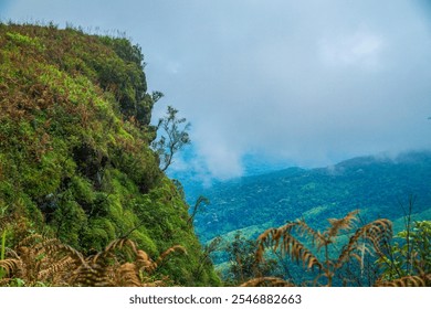 Nature's majestic overlook mountain range scenic view lush environment panoramic perspective adventure unveiled - Powered by Shutterstock