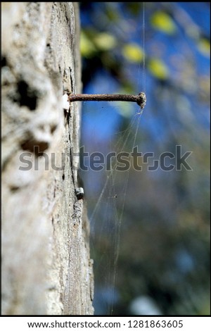 Image, Stock Photo The lonely screw