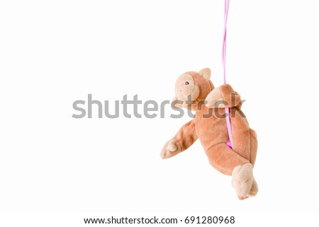 Naughty monkey is hanging on a pink rope, Everywhere the monkey is happy