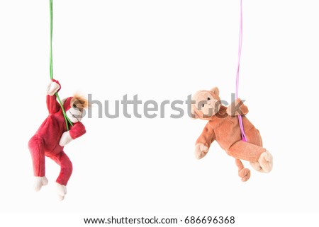 Naughty monkeys hang on the green line, Everywhere the monkeys are happy, Monkeys hanging on the rope with a happy feel