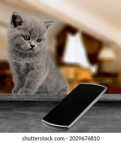 Naughty Playful Bad Cat Throwing Or Dropping The Mobile Phone From The Table.