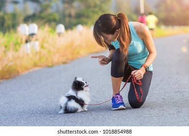 Naughty Puppy Dog Bind Over By Woman To Takes Under Control On Running Exercise 