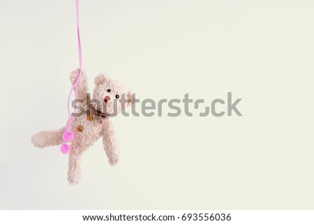 The naughty teddy bear is hanging on the pink rope, Everywhere the doll is happy 