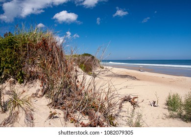 Nauset Beach Cape Cod