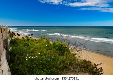 Nauset Beach With Flowers