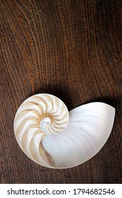 Nautilus Shell With Copy Space Wooden Wood Background Cross Section Symmetry