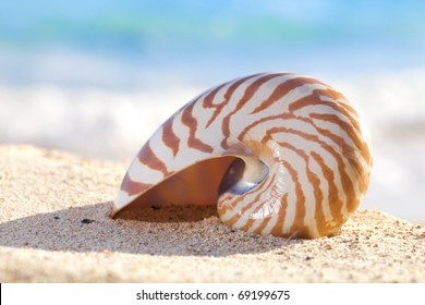 Nautilus Shell On A Beach Sand, Against Sea Waves, Shallow Dof