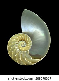 28,529 Golden Spiral Stock Photos, Images & Photography 