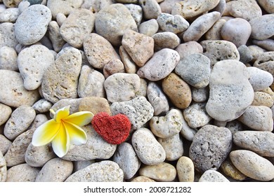 nautre image background : flower, red coral and white stones