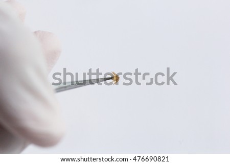 Naval Research and Testing ticks .