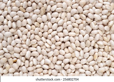 Navy Bean Background