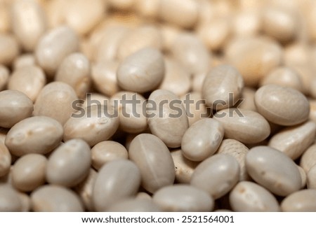 Navy beans close up background