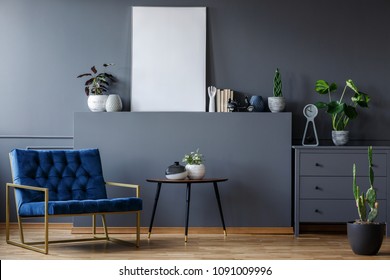 Navy Blue Armchair Next To Table In Grey Flat Interior With Mockup Of Poster And Plants