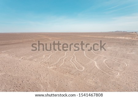 Similar – traces Umwelt Natur Sand