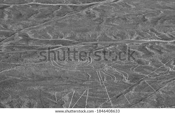 Nazca lines geoglyph Monkey with Spiral Tail on\
earth soil in Nasca desert Peru, aerial view. Mysterious massive\
drawing geoglyphs are series of geometric, zoomorphic shapes in\
peruvian Nasca valley.