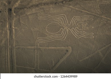 Nazca lines image of big spider made of trenches on the ground, viewed from above in full frame. Peru