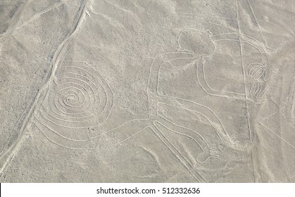 Nazca Lines - The Monkey