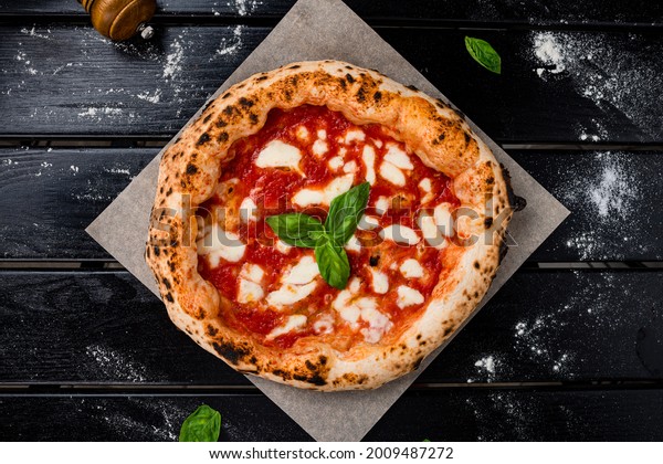 neapolitan homemade pizza\
margarita from the brick oven. Napoleon Italian Pizza with fresh\
mozzarella and basil leaves. true Italian Traditional Pizza\
Margherita