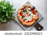 Neapolitan pizza Margarita with tomato sauce, mozzarella and basil cooked in the stone oven on a white background
