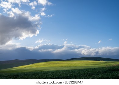 windows xp background with creaming cowboy