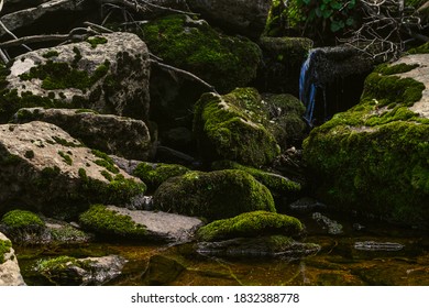 Near The Headwaters Of The St.  Charles River, Colorado