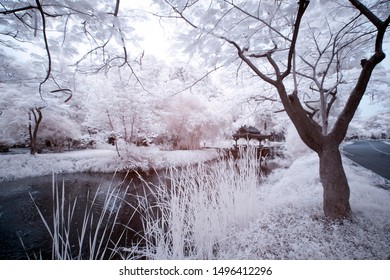 Near Infrared Temple In Thailand, Taken In Near Infrared