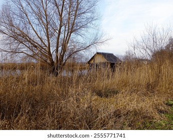 Near the lake on the shore under a tall willow a picturesque fishing house for rest and fishing. Outdoor recreation. - Powered by Shutterstock