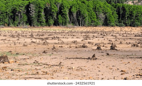 Near Porto-Vecchio, in the heart of Alta Rocca, Lake U Spidali is nestled between road and mountains. Due to the drought, the water level has dropped, revealing tree stumps cut before impoundment