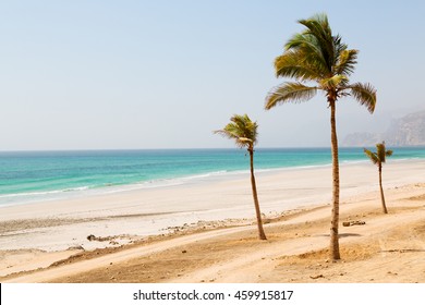 Near Sandy Beach Sky  Palm   And Mountain In Oman Arabic Sea  The Hill 